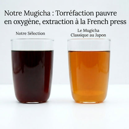 Mugicha – Infusion d’orge grillé