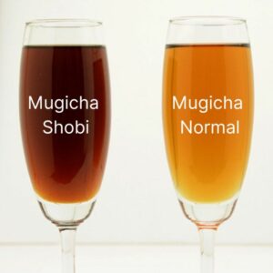 Infusion d'orge grillé - Mugicha