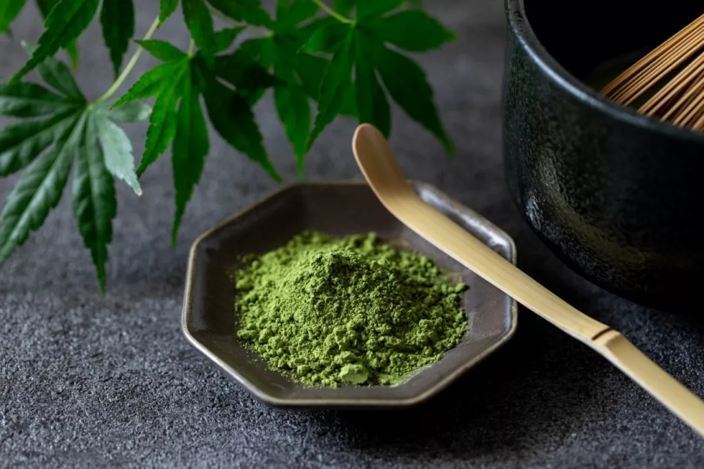 comment choisir son thé vert matcha