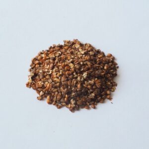 Infusion sarrasin grillé - sobacha